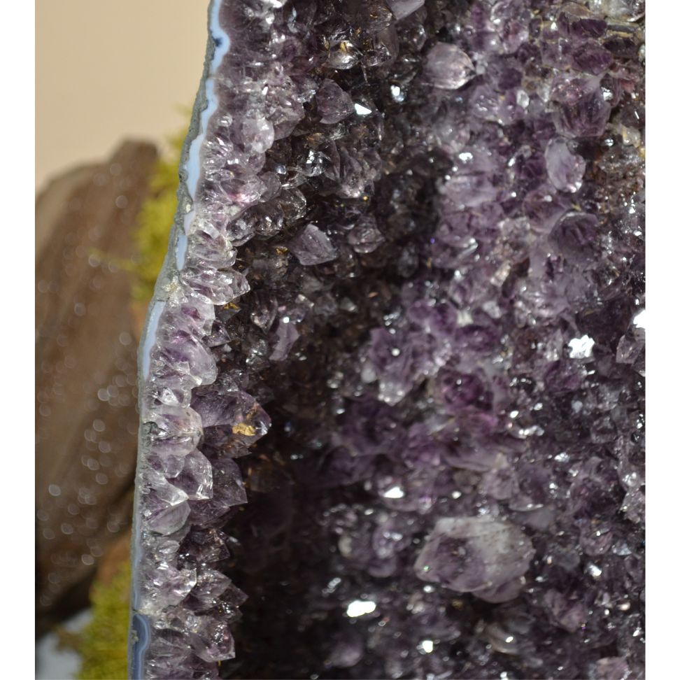 
                  
                    Amethyst-Druse Nr. 49
                  
                