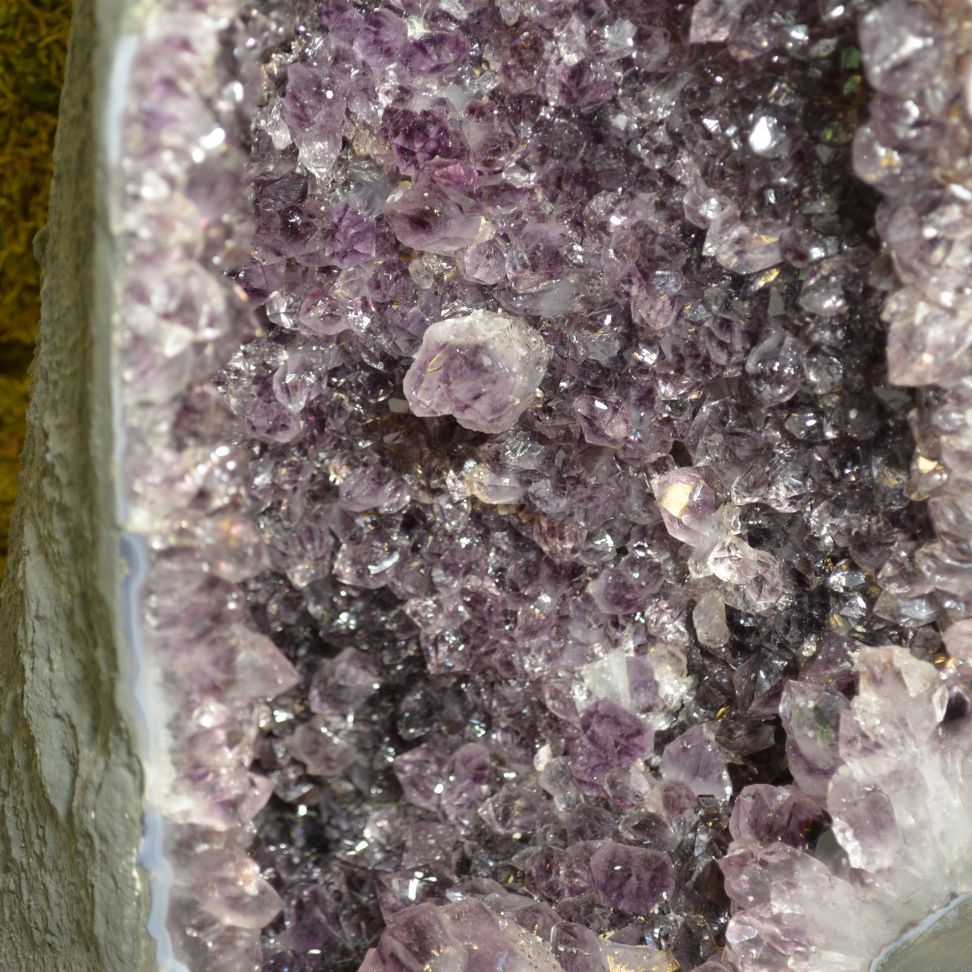 
                  
                    Amethyst-Druse Nr. 49
                  
                