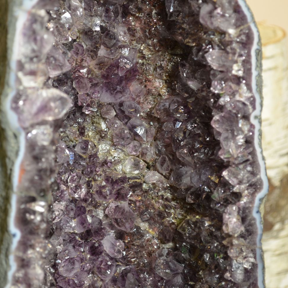 
                  
                    Amethyst-Druse Nr. 49
                  
                