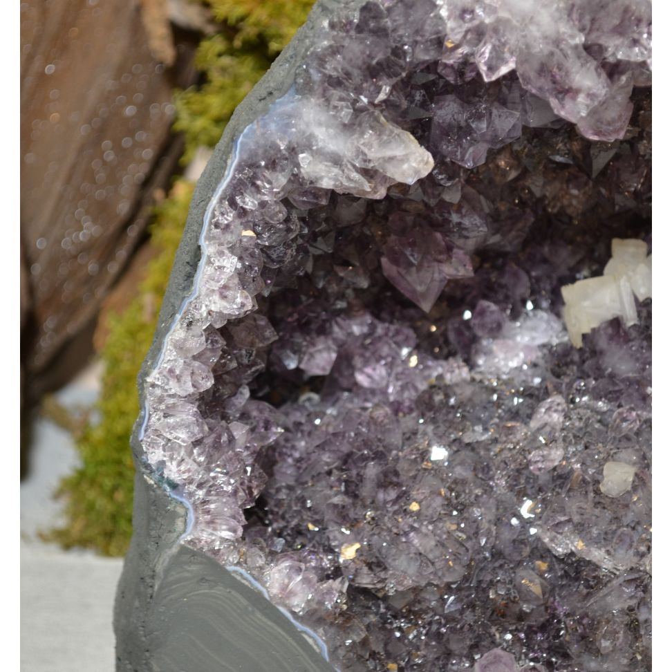 
                  
                    Amethyst-Druse Nr. 50
                  
                