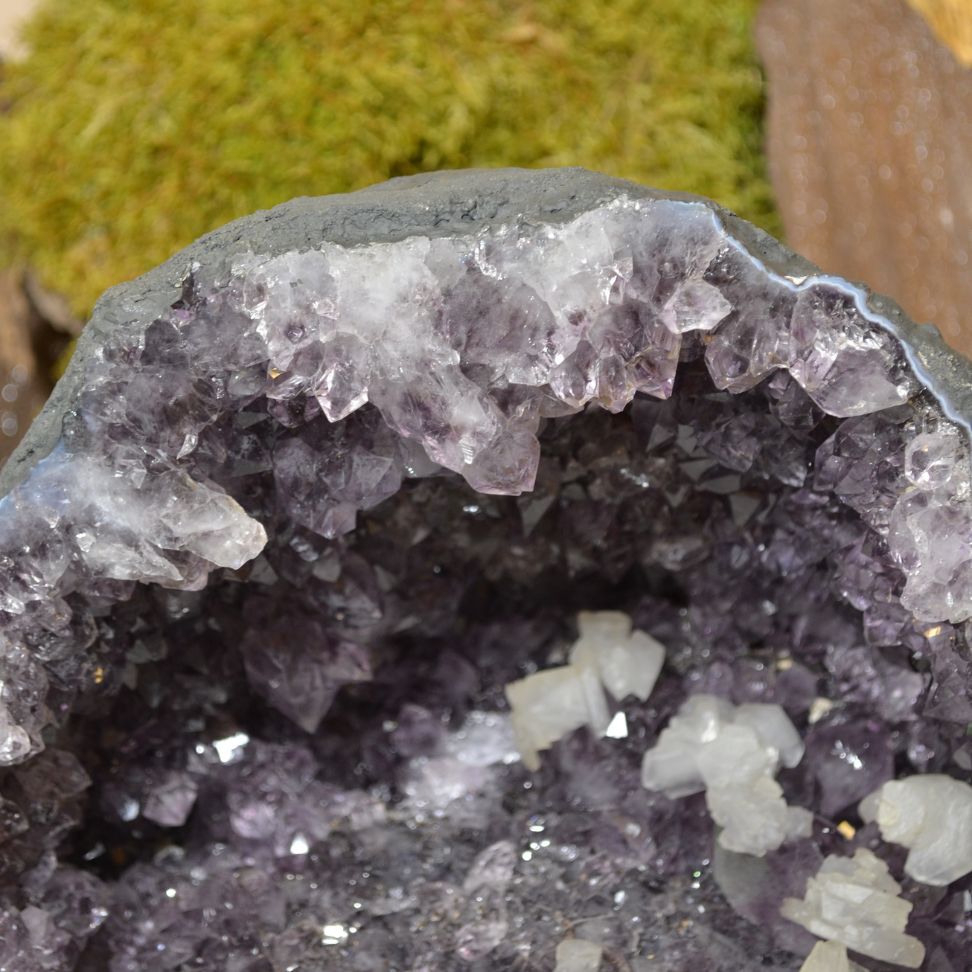 
                  
                    Amethyst-Druse Nr. 50
                  
                