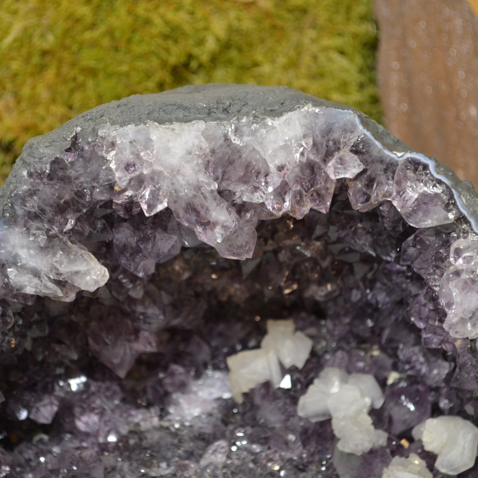 
                  
                    Amethyst-Druse Nr. 50
                  
                