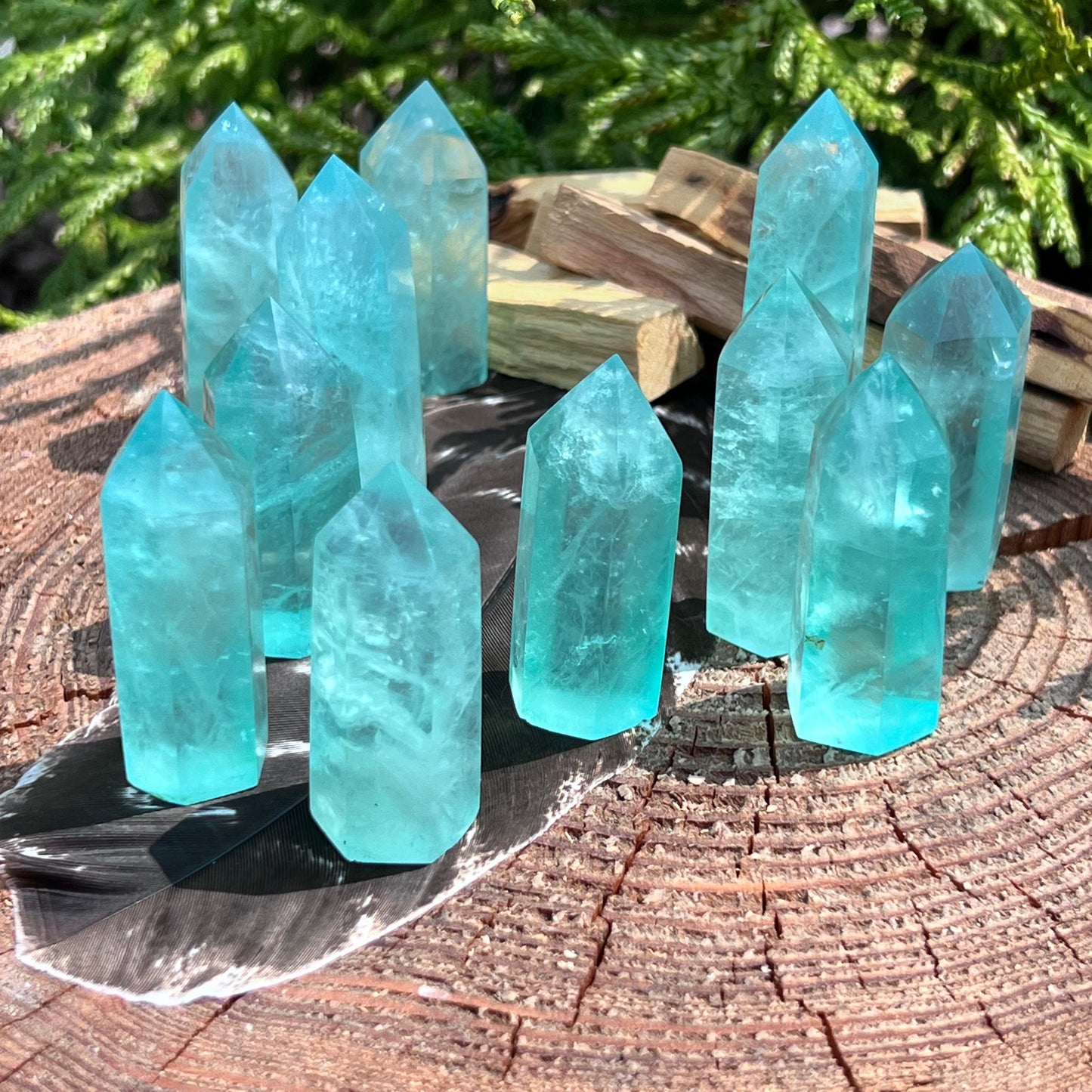 Grüne Fluorit Points als naturbelassene Kristallspitzen, verschiedene Größen und Farbnuancen, ideal zur Meditation, Dekoration und für energetische Zwecke – erhältlich bei Goldnik Mineralien