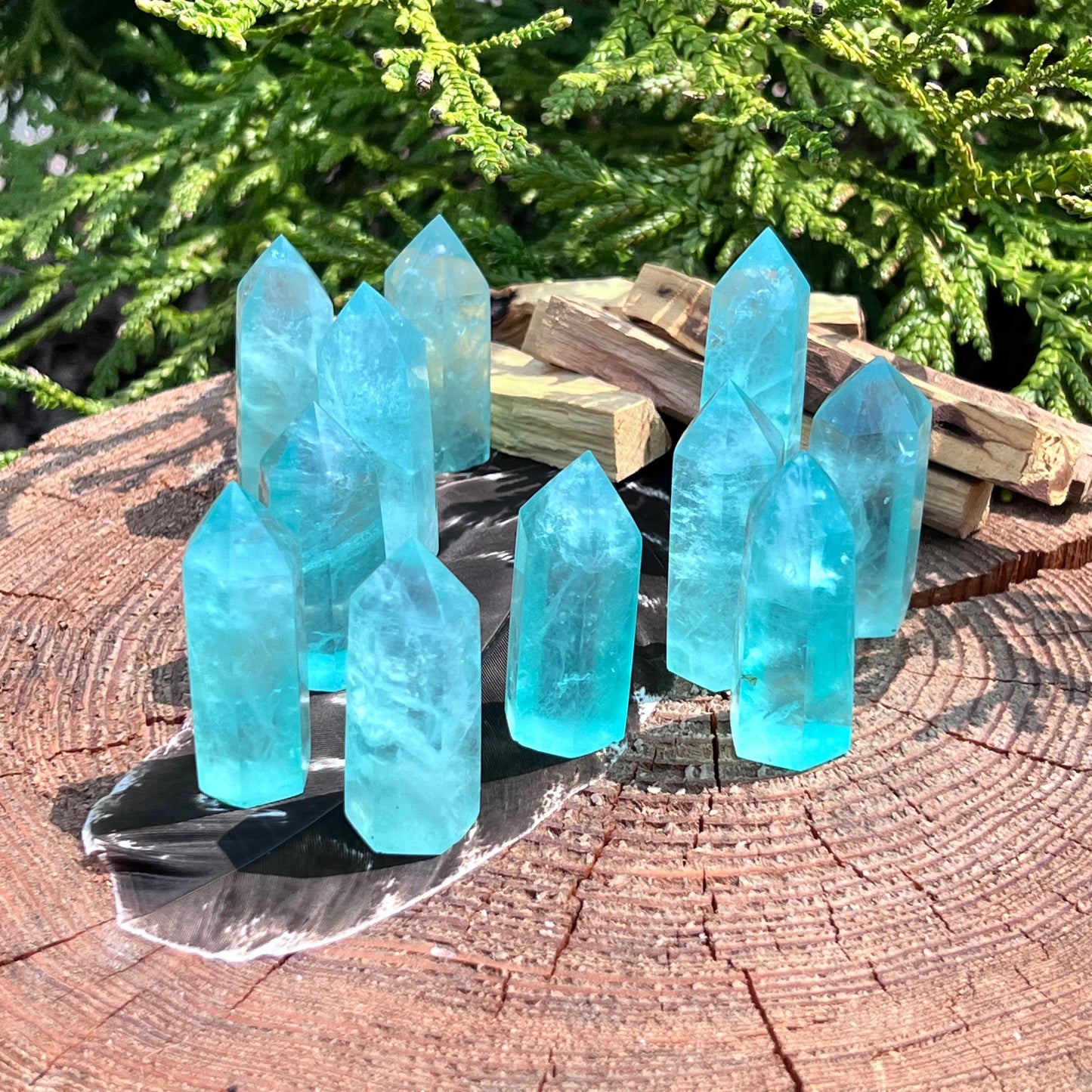 Grüne Fluorit Points als naturbelassene Kristallspitzen, verschiedene Größen und Farbnuancen, ideal zur Meditation, Dekoration und für energetische Zwecke – erhältlich bei Goldnik Mineralien