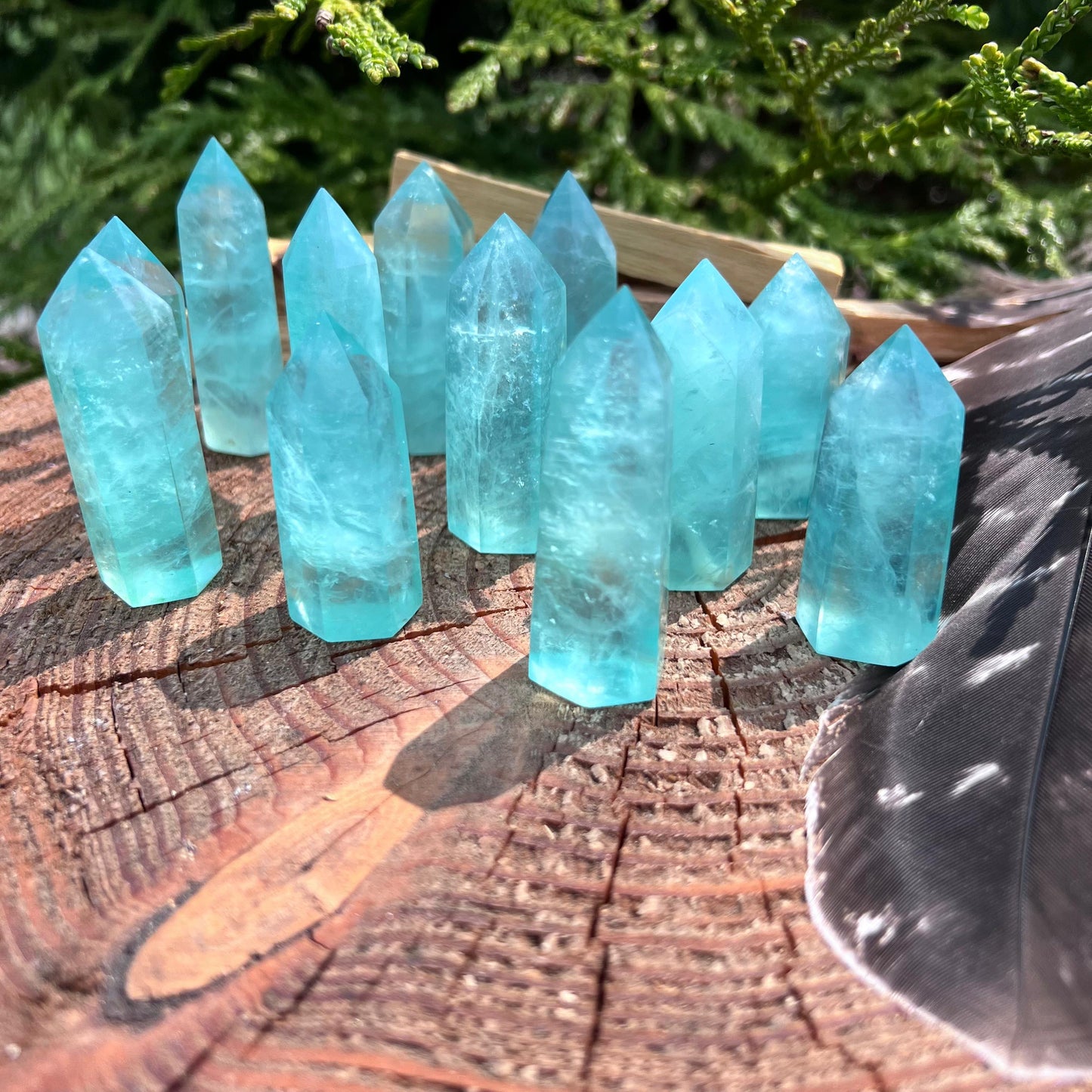 Grüne Fluorit Points als naturbelassene Kristallspitzen, verschiedene Größen und Farbnuancen, ideal zur Meditation, Dekoration und für energetische Zwecke – erhältlich bei Goldnik Mineralien