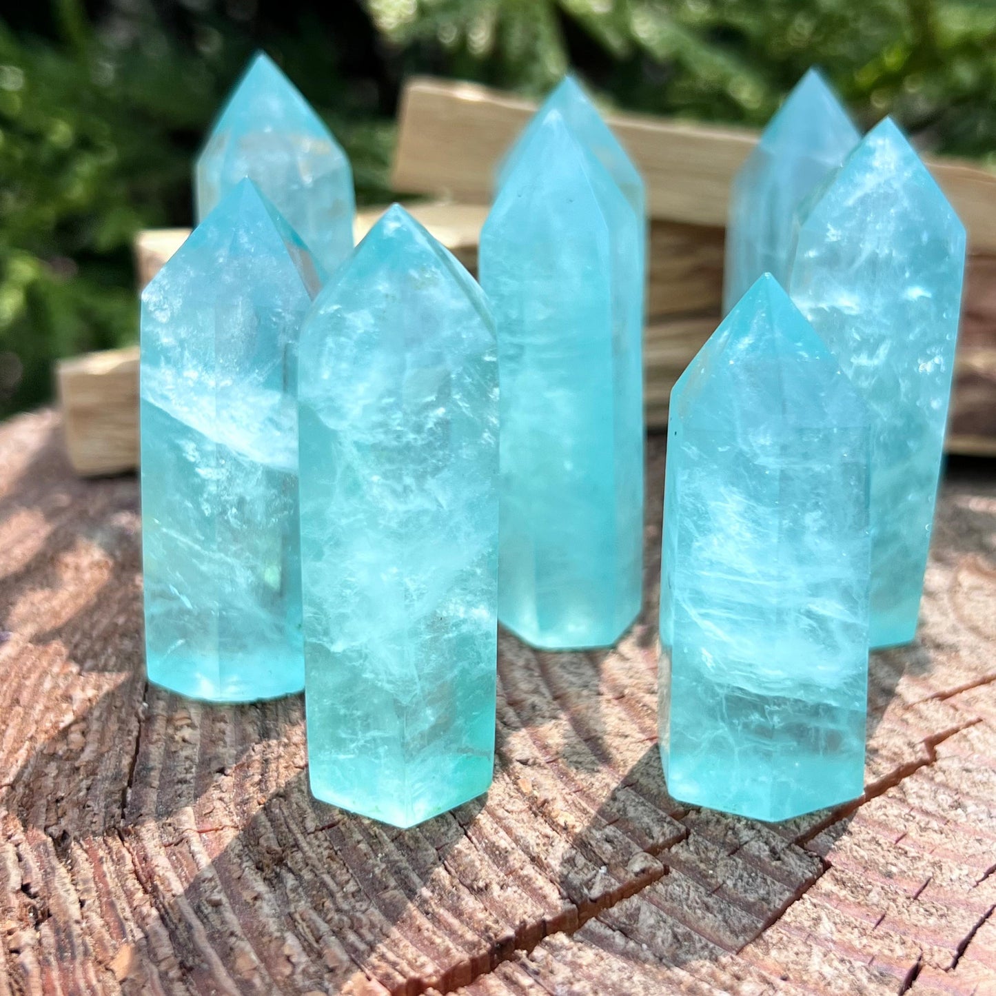 Grüne Fluorit Points als naturbelassene Kristallspitzen, verschiedene Größen und Farbnuancen, ideal zur Meditation, Dekoration und für energetische Zwecke – erhältlich bei Goldnik Mineralien