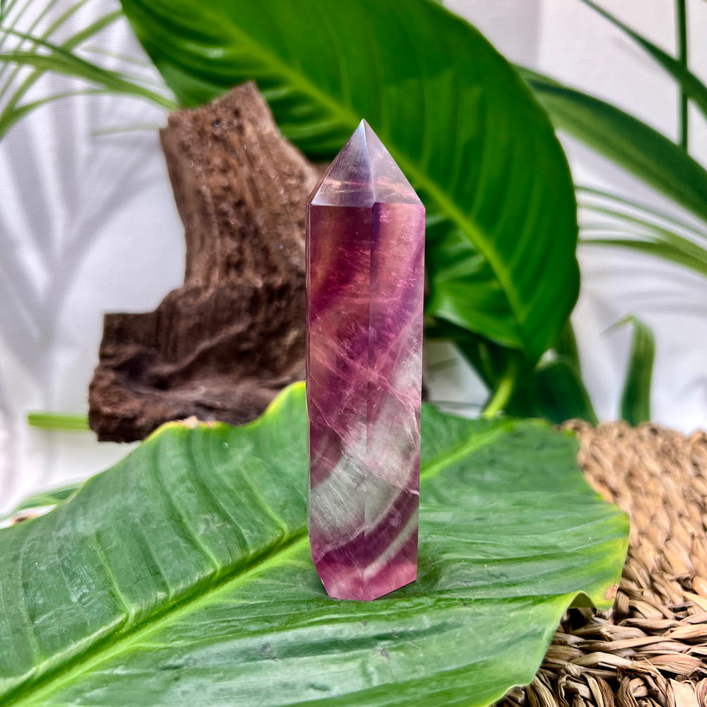 Fluorit Point