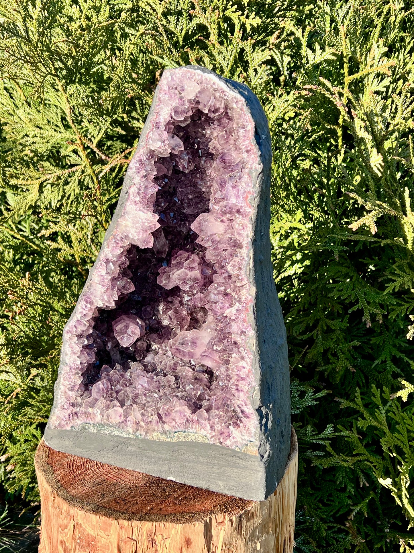 
                  
                    Amethyst-Druse
                  
                