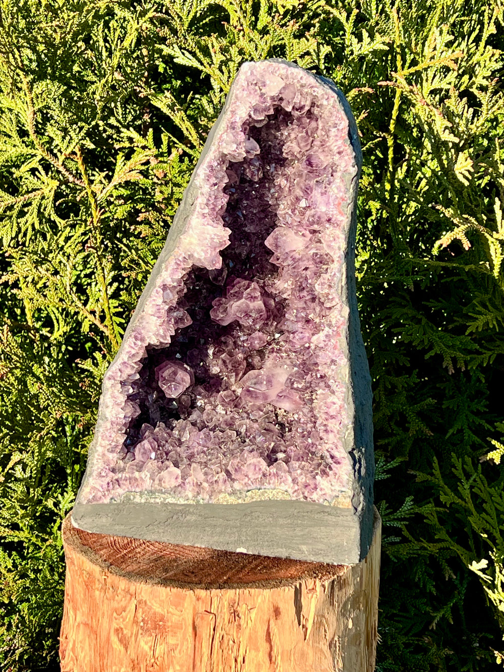 Amethyst-Druse