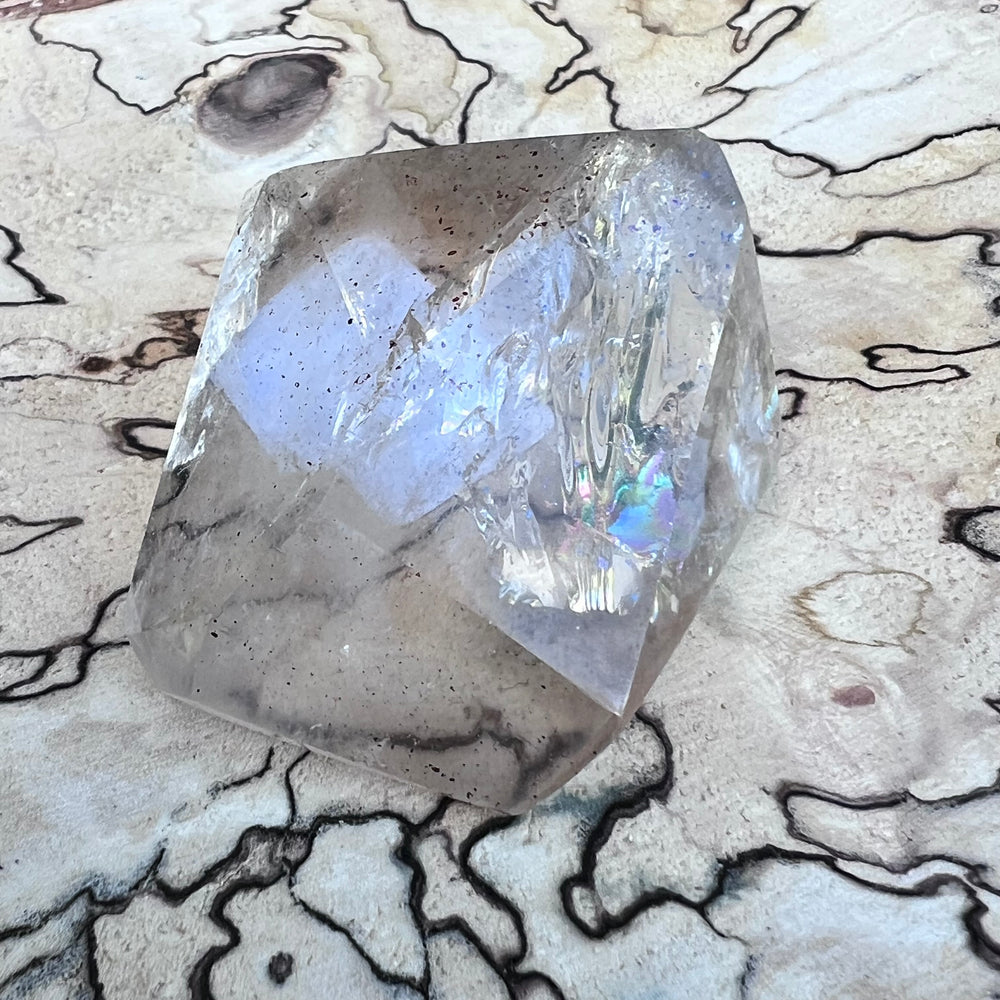 LIVE SALE TT 28.07 Susanne