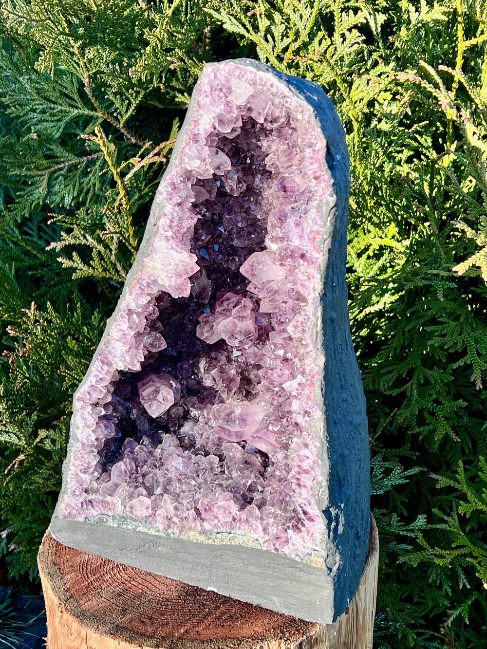 Amethyst-Druse