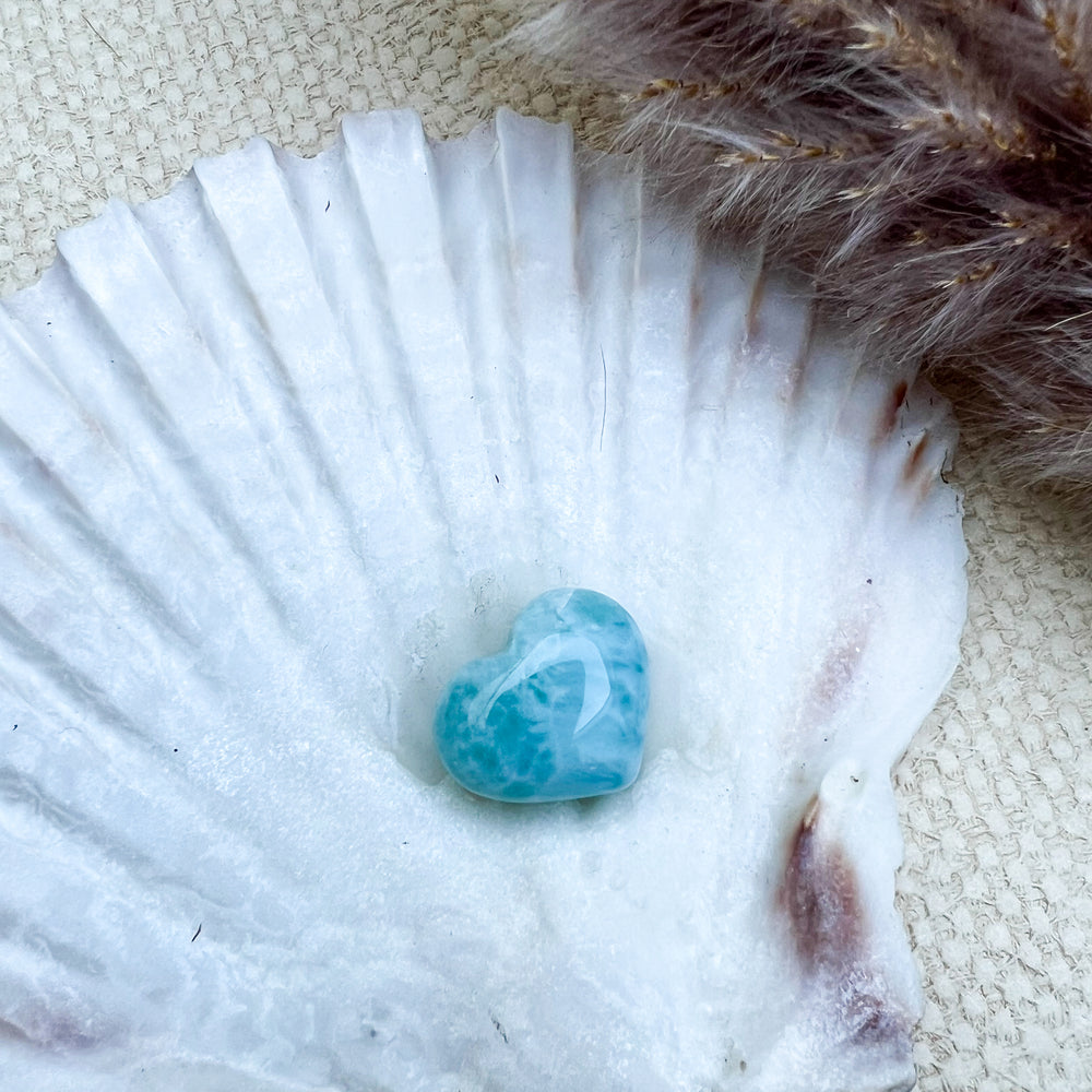 Handgearbeitetes Larimar Herz in meeresblau mit weißen Akzenten, präsentiert auf einer Muschelschale – einzigartiger Edelstein aus der Dominikanischen Republik