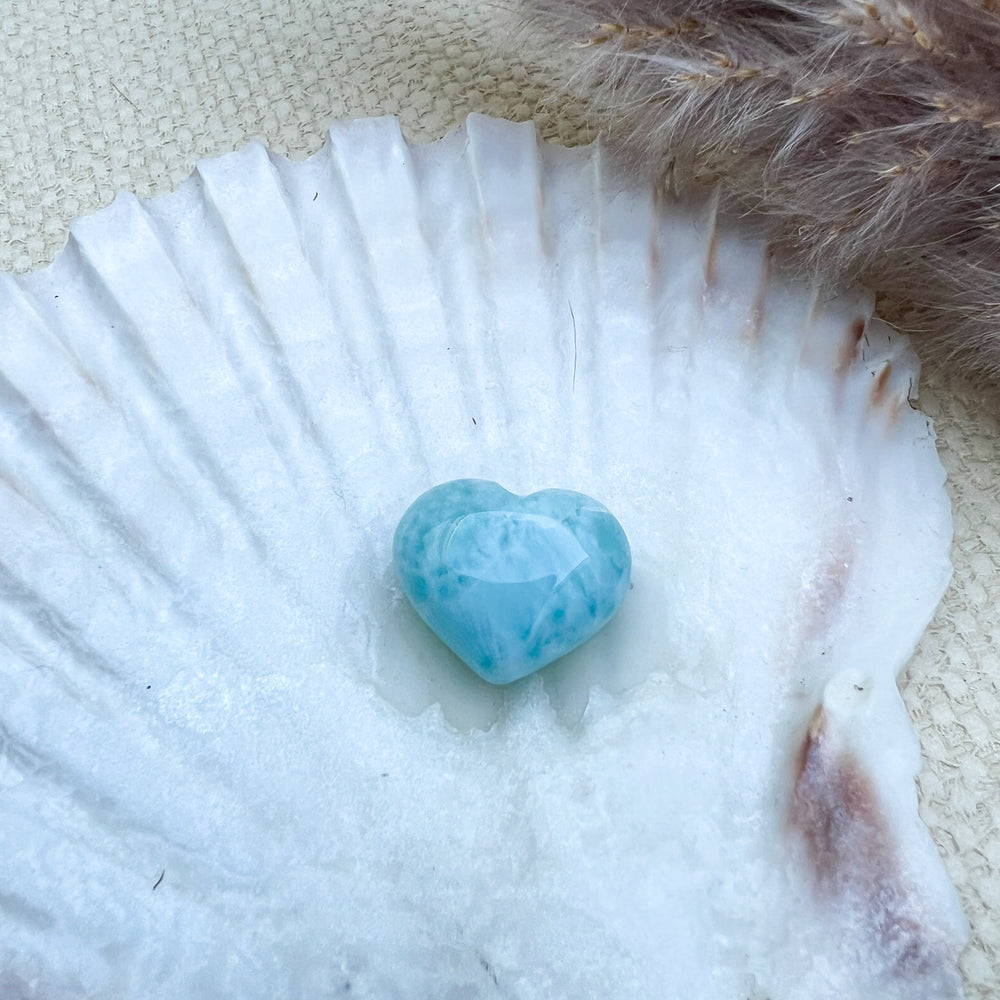 Handgearbeitetes Larimar Herz in meeresblau mit weißen Akzenten, präsentiert auf einer Muschelschale – einzigartiger Edelstein aus der Dominikanischen Republik
