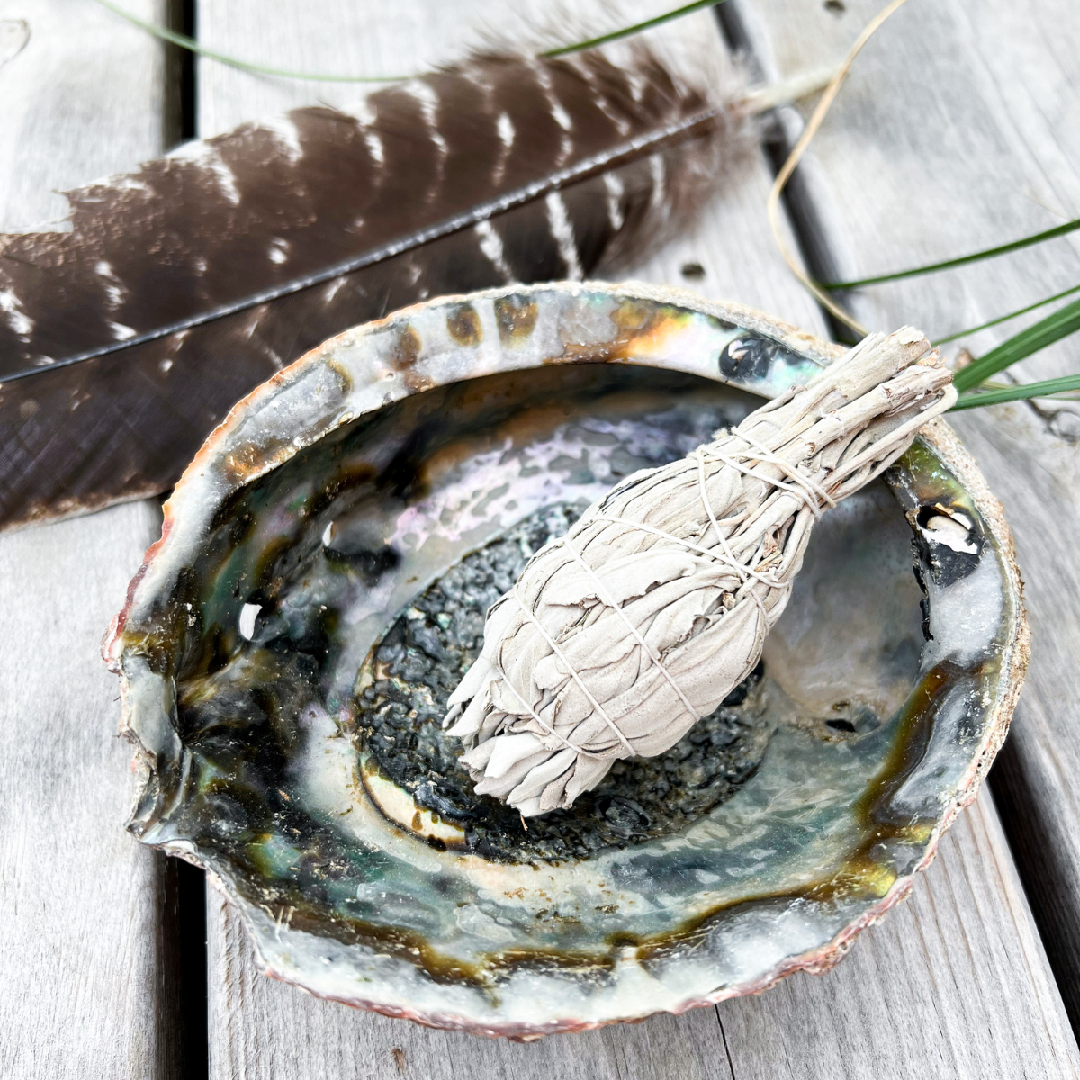 
                  
                    Räucherset mit Abalone Muschel
                  
                