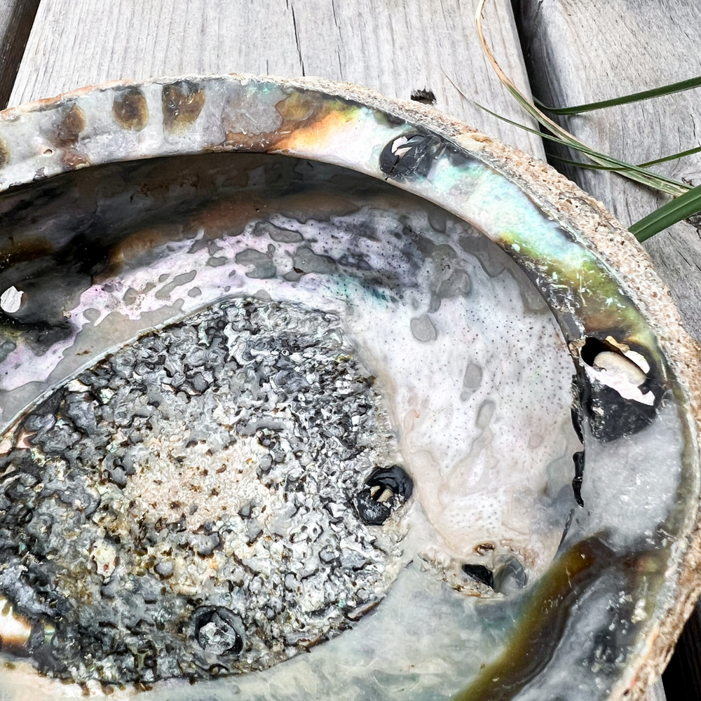 Räucherset mit Abalone Muschel